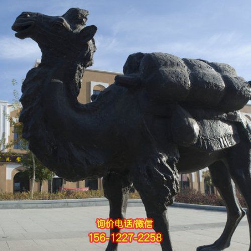 精美駱駝雕塑，點綴廣場，帶來濃濃情懷